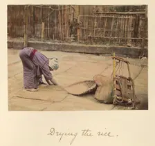 Drying the Rice, about 1873-1883. Creator: Shinichi Suzuki I