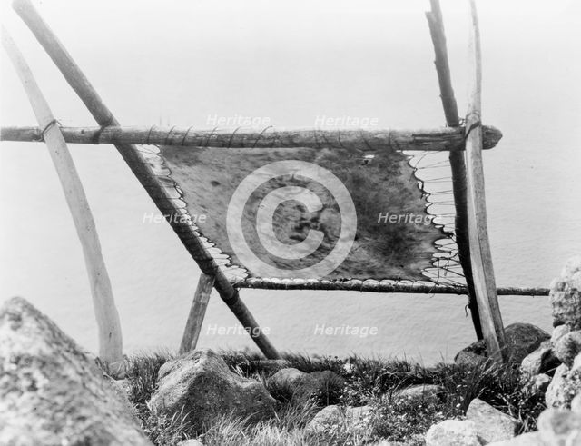 Drying walrus hide, Diomede, Alaska, c1929. Creator: Edward Sheriff Curtis.