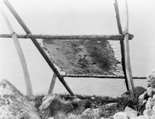 Drying walrus hide, Diomede, Alaska, c1929. Creator: Edward Sheriff Curtis
