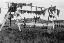 Drying whale meat-Hooper Bay, c1929. Creator: Edward Sheriff Curtis