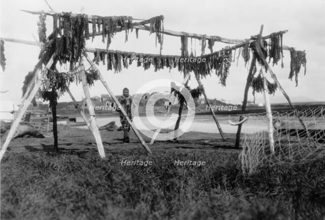 Drying whale meat-Hooper Bay, c1929. Creator: Edward Sheriff Curtis.