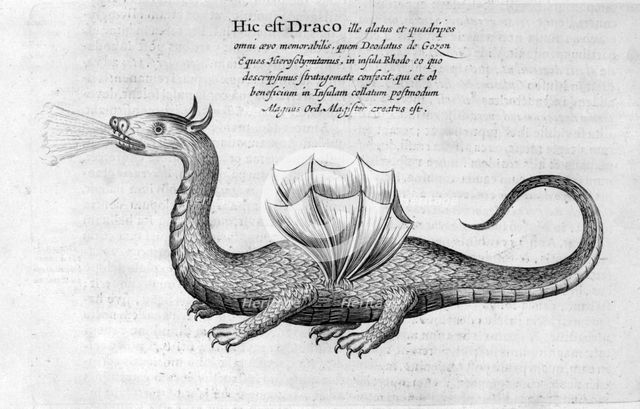 Dragon, 1678. Artist: Athanasius Kircher