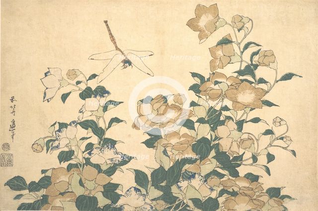 Dragonfly and Bellflower, late 1820s. Creator: Hokusai.