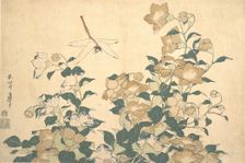 Dragonfly and Bellflower, late 1820s. Creator: Hokusai