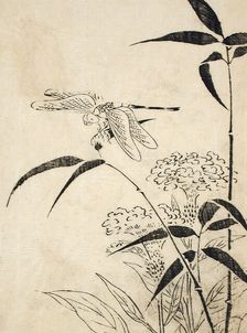Dragonfly, Coxcomb and Bamboo, Printed 1762. Creator: Miyazaki Yuzen