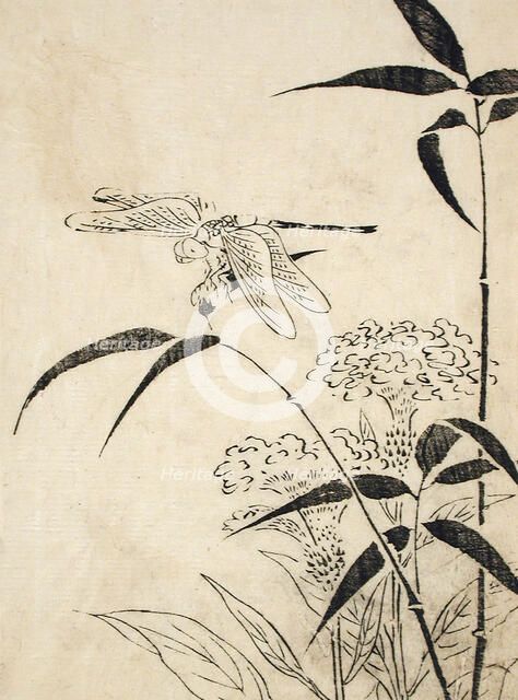 Dragonfly, Coxcomb and Bamboo, Printed 1762. Creator: Miyazaki Yuzen.