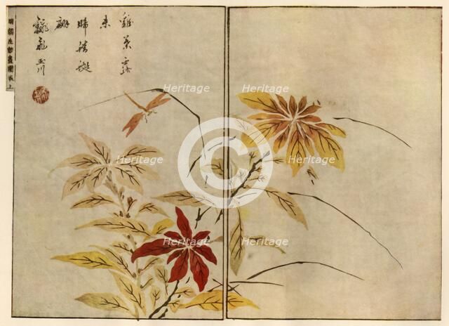 Dragonfly with plants, 1746, (1924).  Creator: Ooka Shunboku.