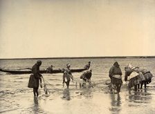 Dragging Out a Sweep-Net: Fishing on Lake Zaisan, 1909. Creator: Nikolai Georgievich Katanaev