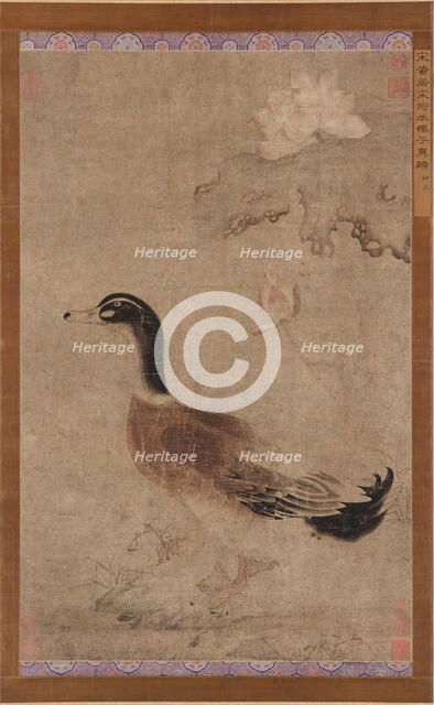 Drake and lotus flowers, Yuan dynasty, 1279-1368. Creator: Unknown.