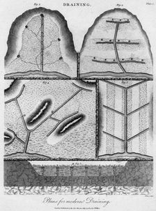 Draining plans, 1803.Artist: J Pass