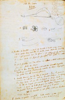 Drawings of jewels for Salammbô, c1858. Artist: Gustave Flaubert