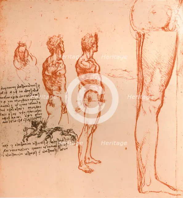 Drawings showing the movements of the human figure and warriors fighting, c1472-c1519 (1883). Artist: Leonardo da Vinci.