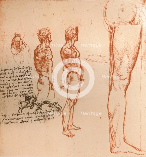 Drawings showing the movements of the human figure and warriors fighting, c1472-c1519 (1883). Artist: Leonardo da Vinci.