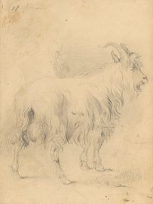 Drawing II., 1850/1857. Creator: Frantisek Belopotocky