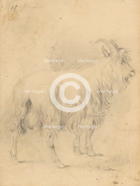 Drawing II., 1850/1857. Creator: Frantisek Belopotocky.