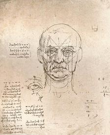 Drawing illustrating the theory of the proportions in the human figure, c1472-c1519 (1883). Artist: Leonardo da Vinci