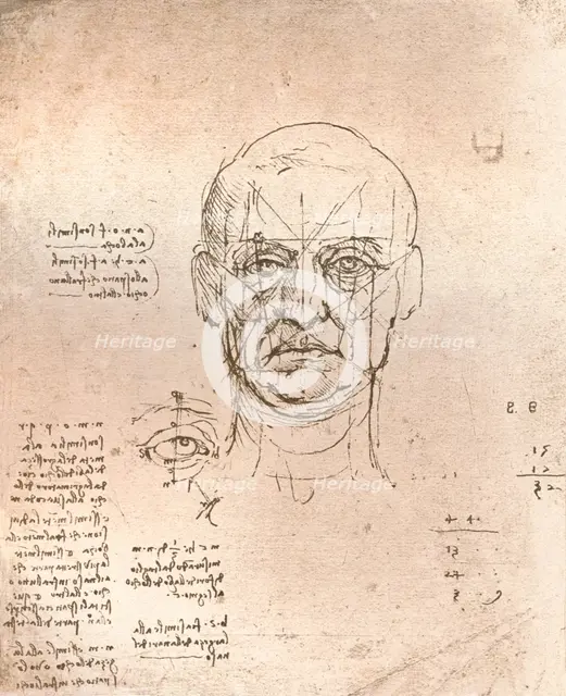 Drawing illustrating the theory of the proportions in the human figure, c1472-c1519 (1883). Artist: Leonardo da Vinci.