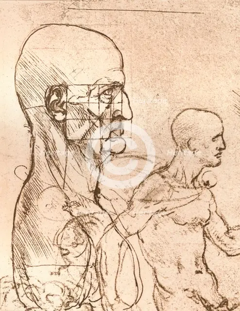 Drawing illustrating the theory of the proportions of the human figure, c1472-c1519 (1883). Artist: Leonardo da Vinci.