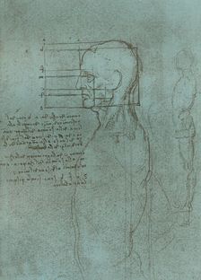 Drawing illustrating the theory of the proportions of the human figure, c1472-c1519 (1883). Artist: Leonardo da Vinci