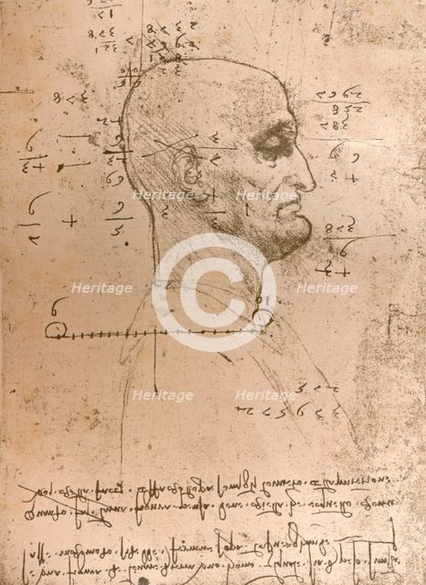 Drawing of the head of a criminal, c1472-c1519 (1883). Artist: Leonardo da Vinci.