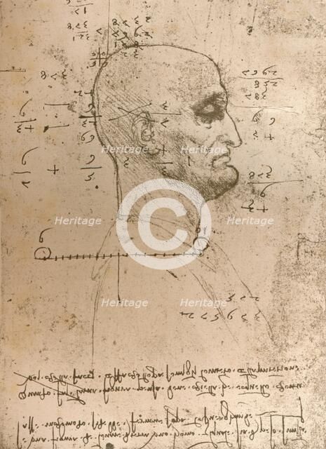 Drawing of the head of a criminal, c1472-c1519 (1883). Artist: Leonardo da Vinci.
