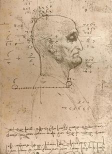 Drawing of the head of a criminal, c1472-c1519 (1883). Artist: Leonardo da Vinci