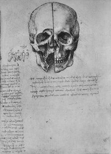 Drawing of Two Halves of a Skull c1480 (1945). Artist: Leonardo da Vinci