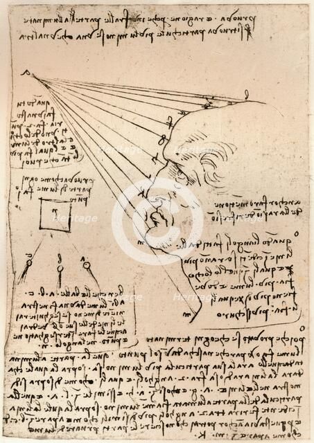 Drawing of a male head, illustrating the practice of painting, c1472-c1519 (1883). Artist: Leonardo da Vinci.