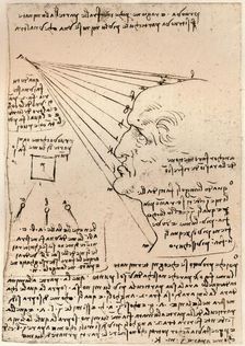 Drawing of a male head, illustrating the practice of painting, c1472-c1519 (1883). Artist: Leonardo da Vinci