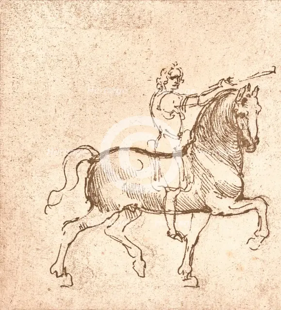 Drawing of a walking horse, c1472-c1519 (1883). Artist: Leonardo da Vinci.