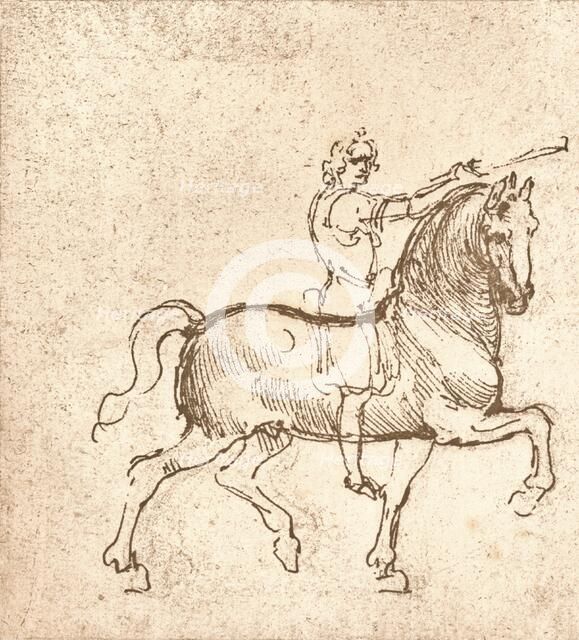 Drawing of a walking horse, c1472-c1519 (1883). Artist: Leonardo da Vinci.