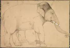 Drawing of an Elephant, c. 1700. Creator: Unknown