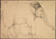 Drawing of an Elephant, c. 1700. Creator: Unknown