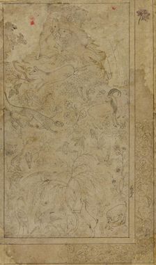Drawing of animals and plants, early 17th century. Creator: Unknown