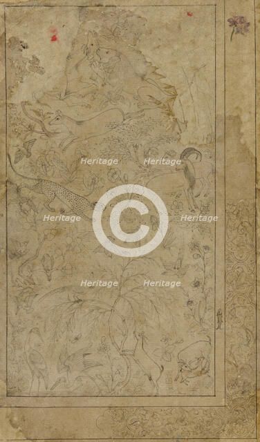 Drawing of animals and plants, early 17th century. Creator: Unknown.