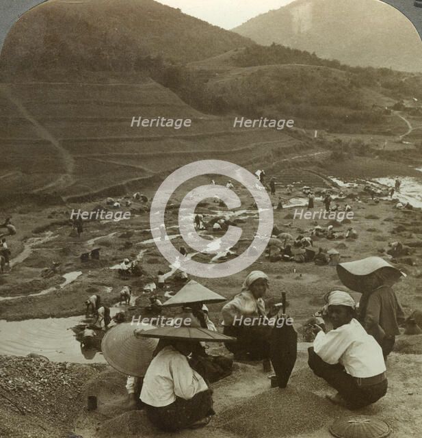 Dredging a river bed for rubies, Mogok, Burma, c1900s(?).Artist: Underwood & Underwood