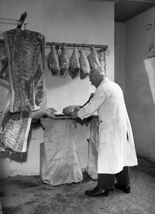 Dressing meat for sale, Rawmarsh, South Yorkshire, 1955. Creator: Michael Walters