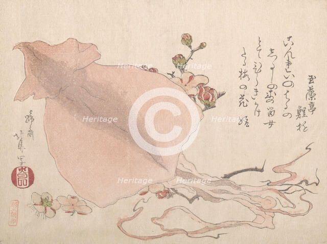 Dried Cuttle-Fish and Plum Blossoms, early 19th century., early 19th century. Creators: Hokuba, Chou.