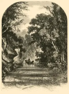 Drive along the Wissahickon 1874. Creator: James H. Richardson