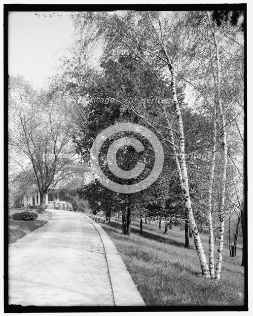 Driveway, Walnut Hills, Cincinnati, Ohio, between 1900 and 1910. Creator: Unknown.