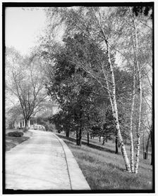 Driveway, Walnut Hills, Cincinnati, Ohio, between 1900 and 1910. Creator: Unknown