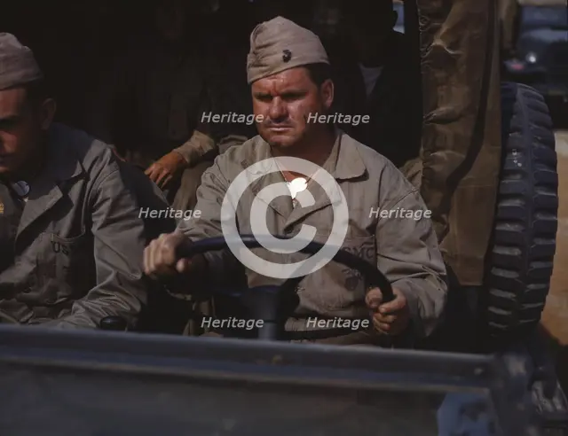 Driver of Marine truck, New River, N.C., 1942. Creator: Alfred T Palmer.
