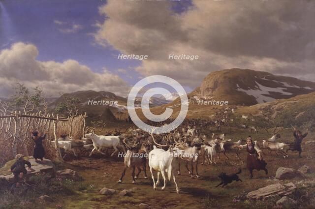 Driving a reindeer herd to milking, high mountains north of Roros, 1875. Creator: Carl Henrik Bogh.