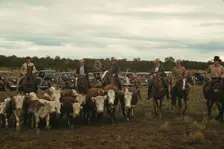 Driving calves into the corral for roping at the rodeo of the Pie Town, New Mexico Fair, 1940. Creator: Russell Lee