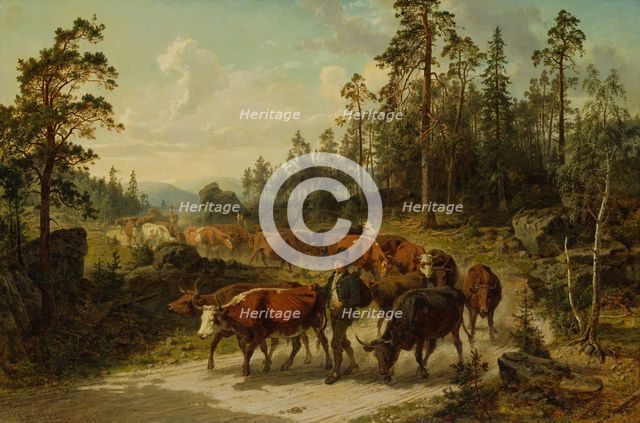 Driving Cattle in Småland, 1863. Creator: Nils Andersson.