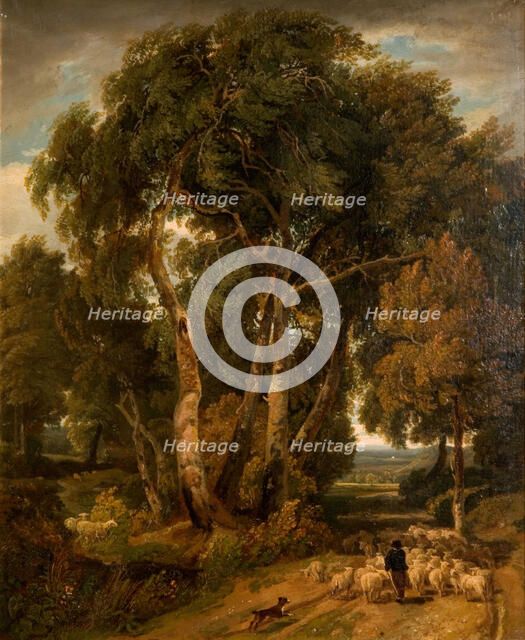 Driving Home The Flock, 1806. Creator: William Havell.