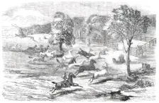 Driving Horses to the Stock-Yard, 1850. Creator: Unknown