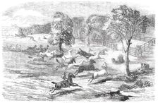 Driving Horses to the Stock-Yard, 1850. Creator: Unknown