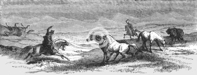 'Driving Ponies; An Icelanders Notes on Iceland', 1875. Creator: Unknown.