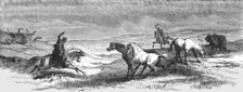 Driving Ponies; An Icelanders Notes on Iceland 1875. Creator: Unknown